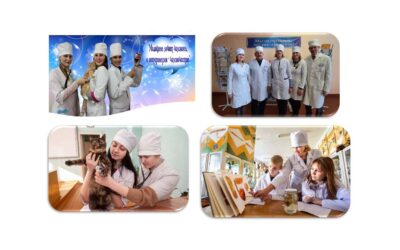 КВЕСТ ДЛЯ ВЕТЕРИНАРОВ