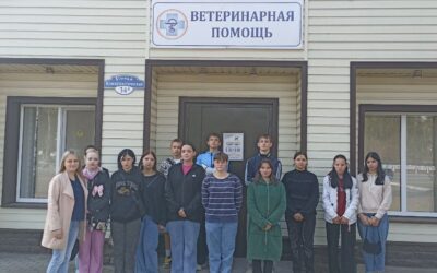 Ознакомительная практика