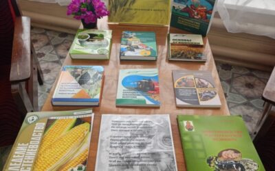 Профессиональный праздник – День работников сельского хозяйства и перерабатывающей промышленности агропромышленного комплекса (АПК)