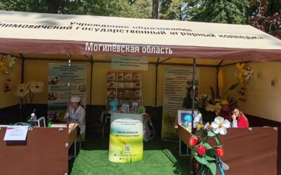 Масштабная интерактивная экспозиция Могилёвской области «Юго-восточный регион: образование и карьера»