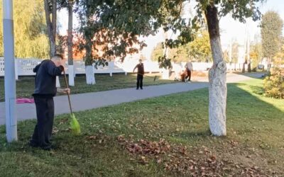 Осень пришла — листья принесла… и мы взяли грабли!
